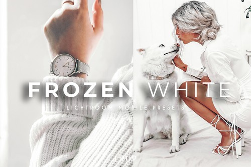 Frozen white preset - 4, mobili
